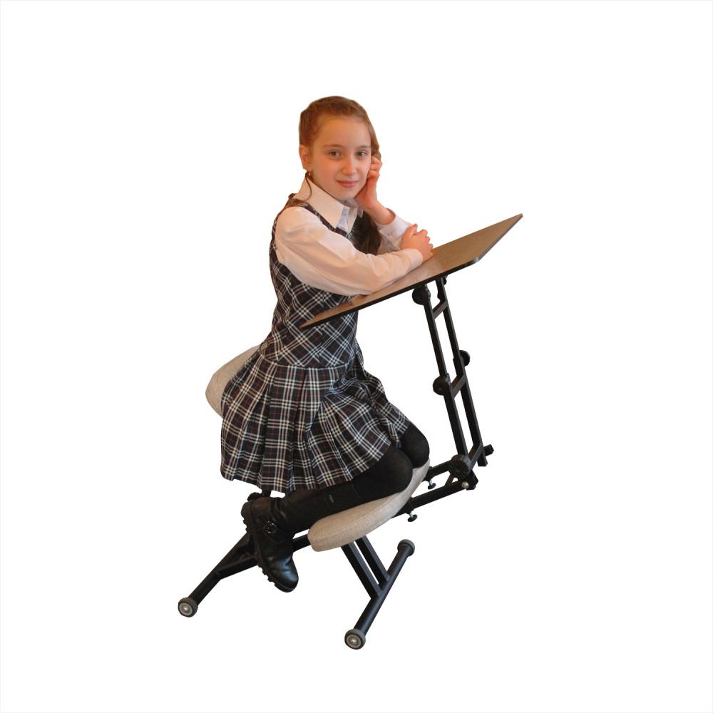 стул для ученика без колес